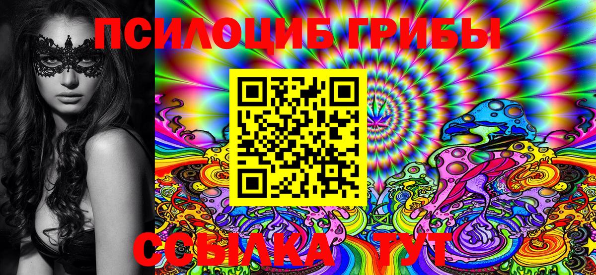 Галлюциногенные грибы Cubensis  Вход с VPN  Санкт-Петербург 