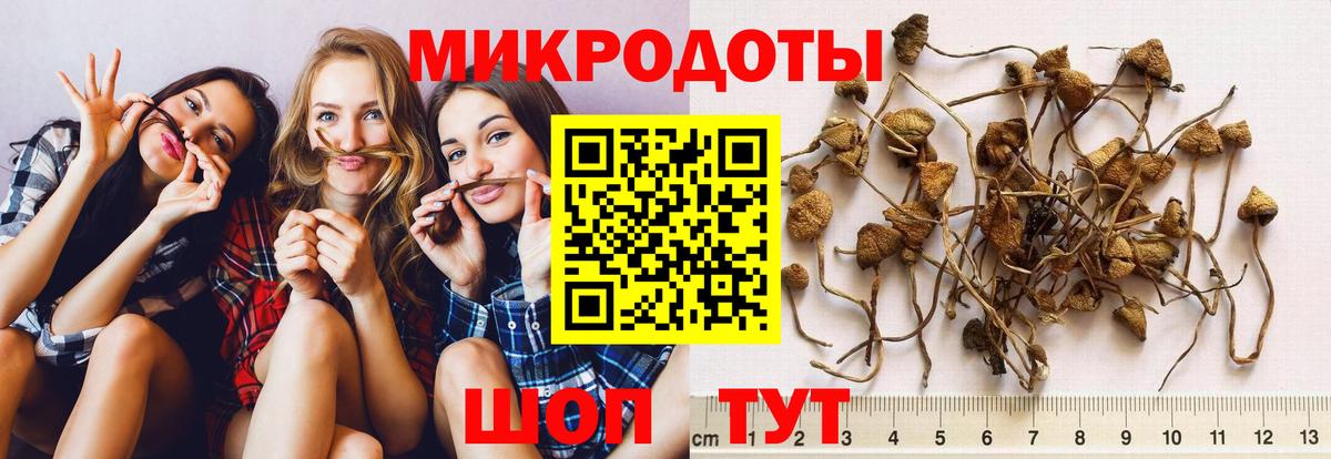 Псилоцибиновые грибы GOLDEN TEACHER Санкт-Петербург